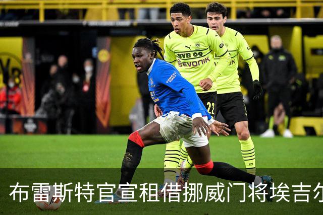 布雷斯特官宣租借挪威门将埃吉尔·塞尔维克